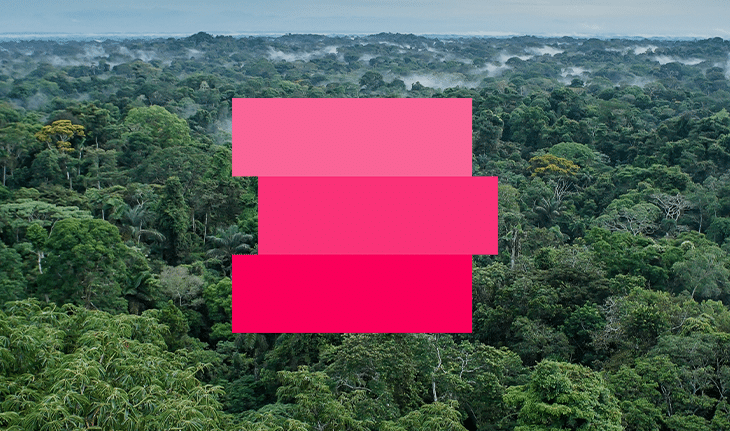 fundo-de-floresta-com-linhas-horizontais-rosa