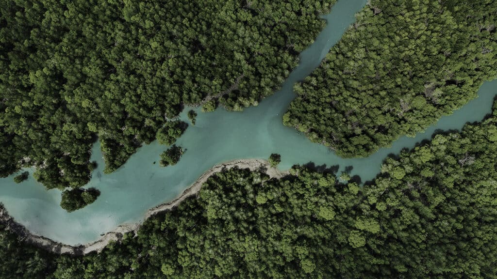 rio-criando-canais-de-agua