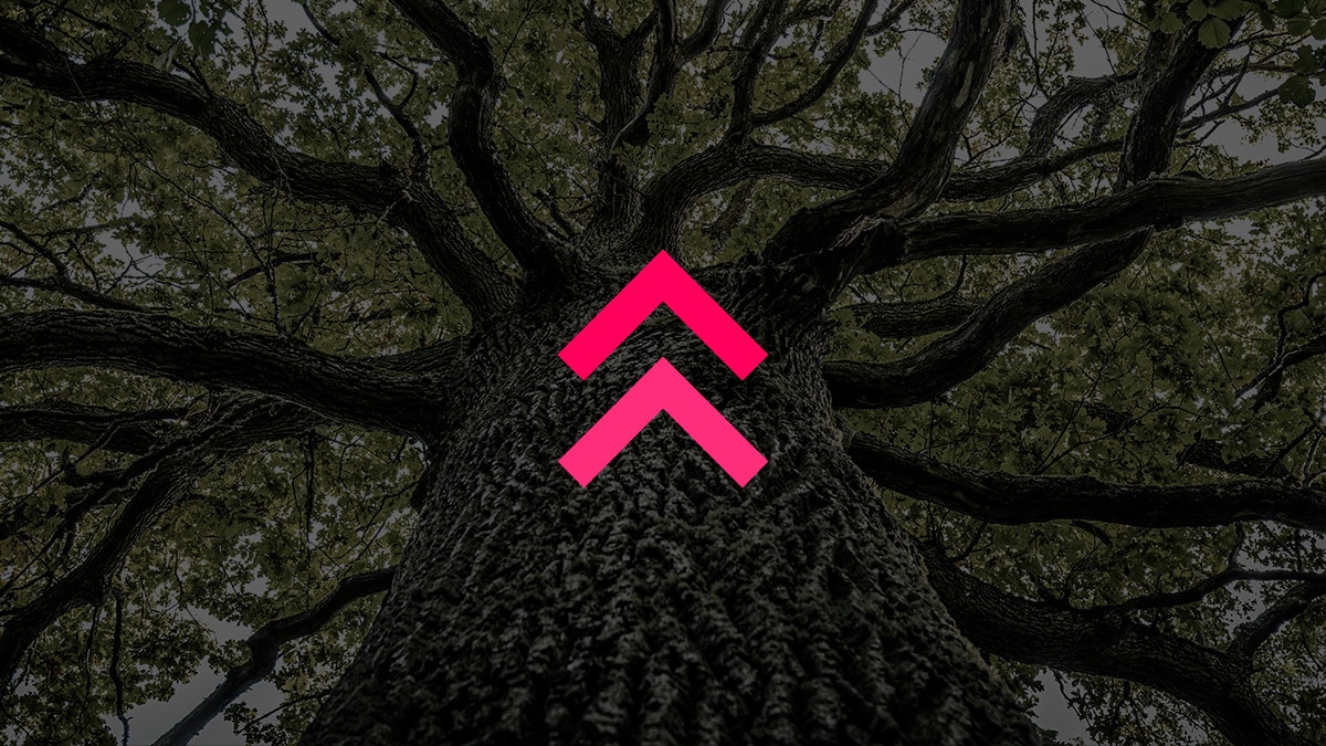 arvore-setas-crescimento